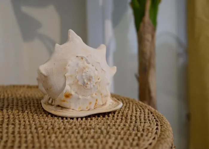 Seaduced Beachfront By Corfuescapes Villa