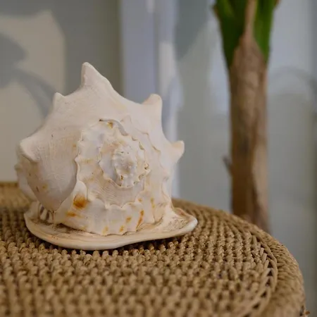 Seaduced Beachfront By Corfuescapes 빌라